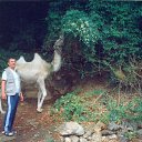 ���� ���������, ������������, 79 ��� - ��������� 11 ������� 2023