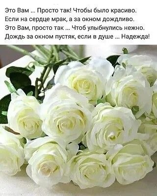   - 16  2022  08:13