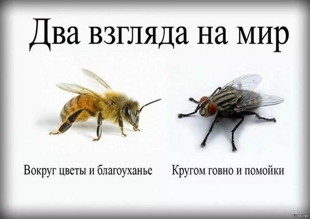 Афонский старец Паисий Святогорец говорил о том, что все люди на Земле разделены на две группы. Одна ...