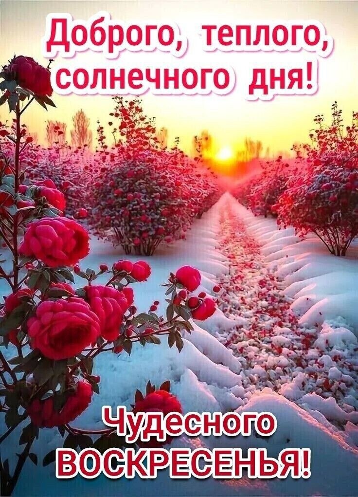 ***Victoria Viktorovna*** - 5  2023  12:09