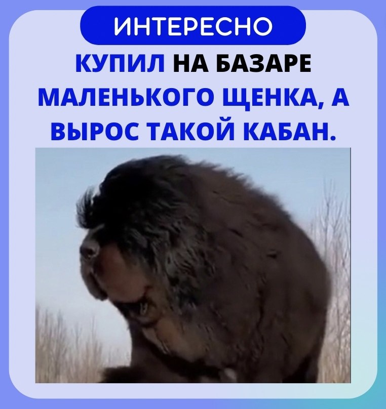   - ! - 19  2022  21:39