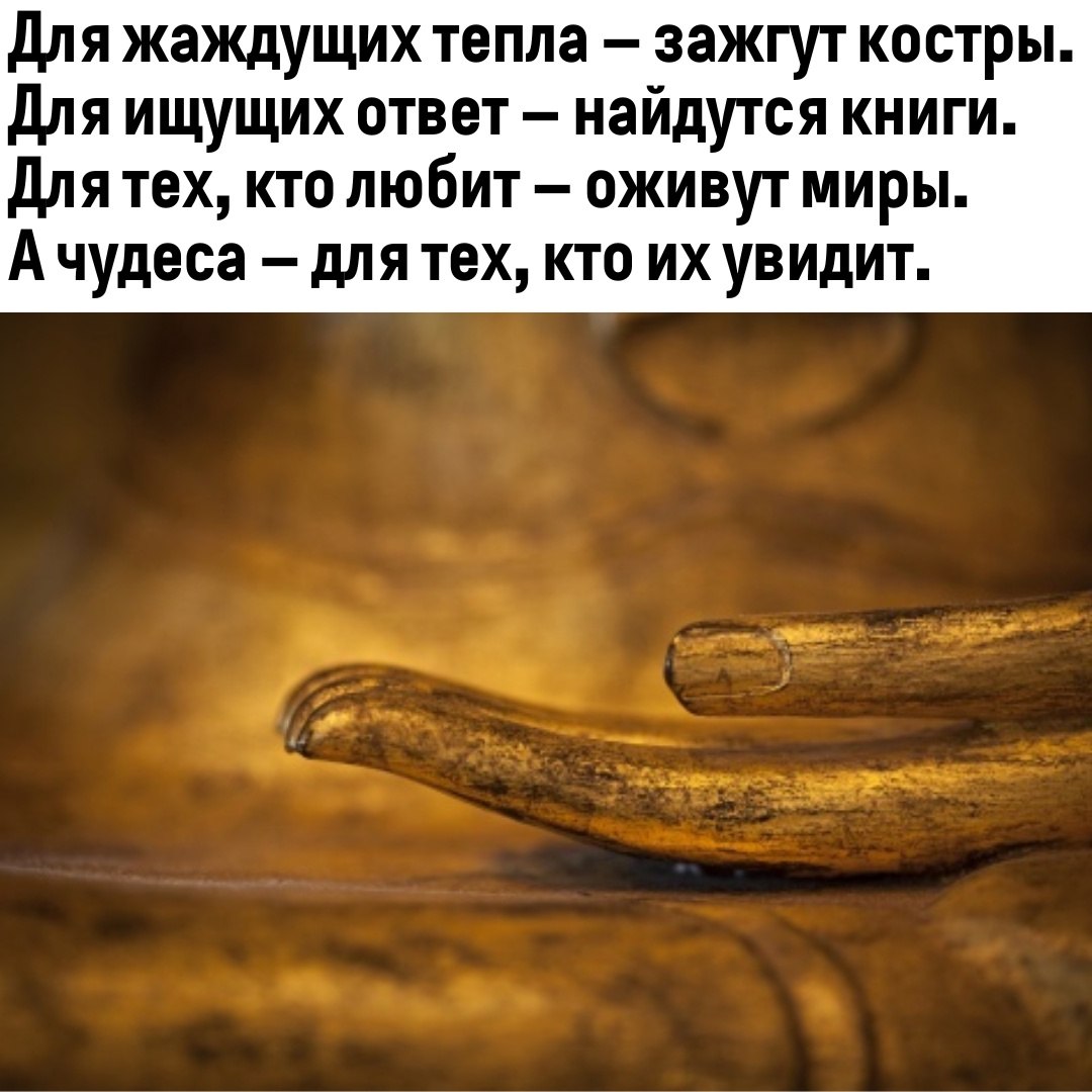  - 11  2022  07:22