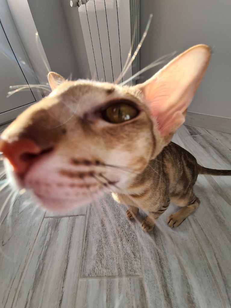 H      p 