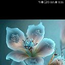 ���� Mehman, ����, 44 ���� - ��������� 20 ������� 2023 � ������ ���� ����������