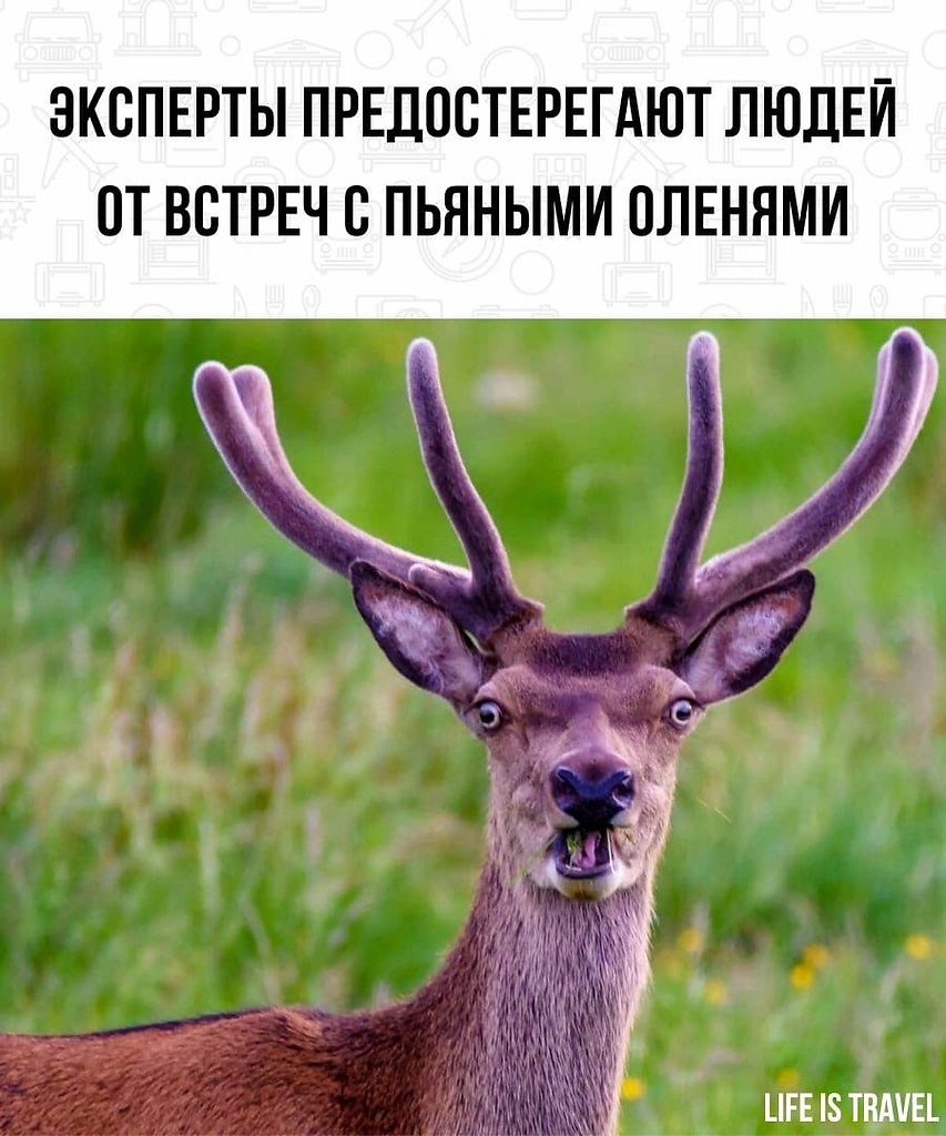 LIFE -  - 31  2022  18:46