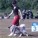 ���� �������, �����-���������, 59 ��� - ��������� 27 ������� 2022