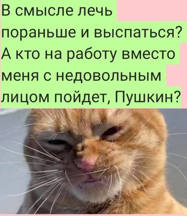   :D - 29  2022  09:19