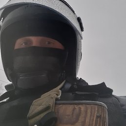 Bazill, ��������, 40 ���