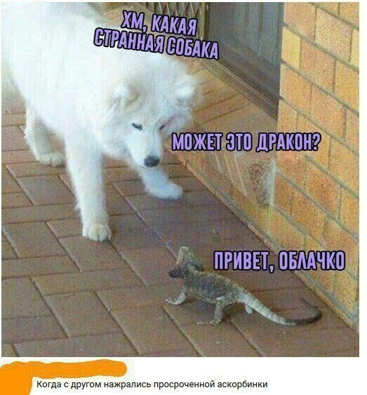    - 3  2023  00:15