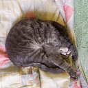 ���� Konstan, ������� - ��������� 16 ������� 2022