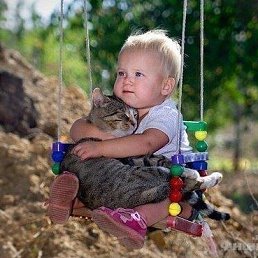 ���� ����, ��������� - ��������� 7 ������� 2022