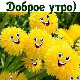 ������, ������, 53 ����