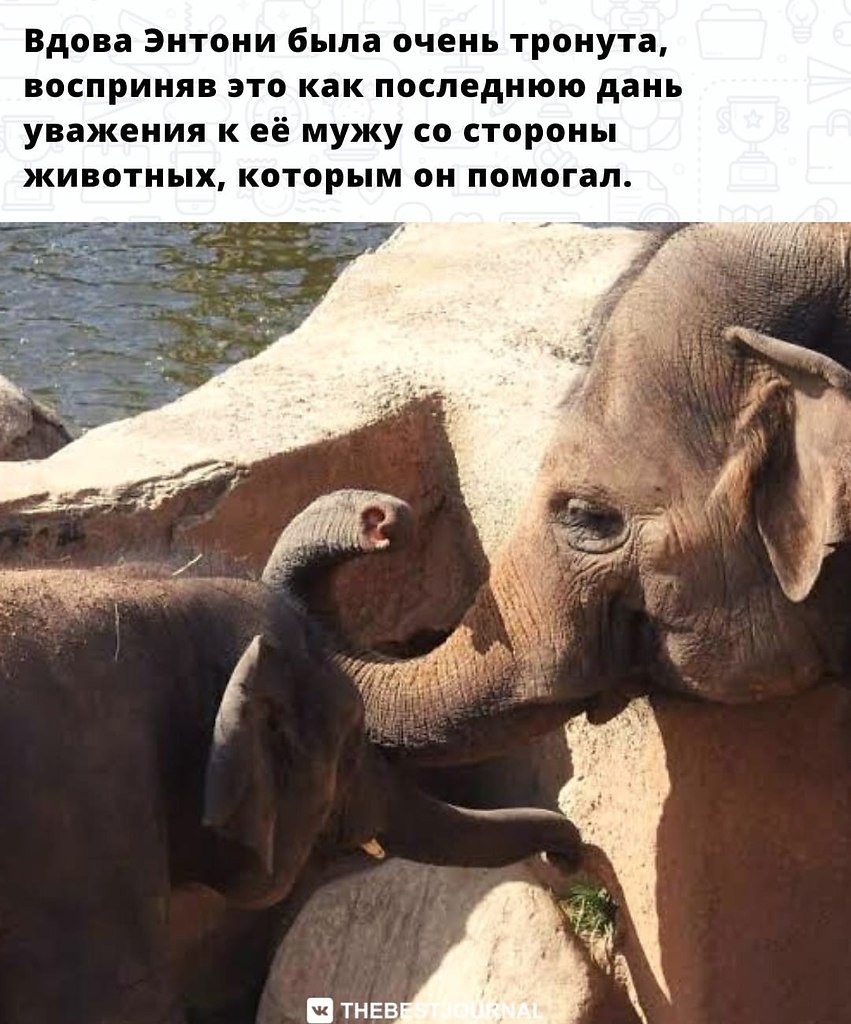 BEST | , ,  - 13  2022  02:20 - 3