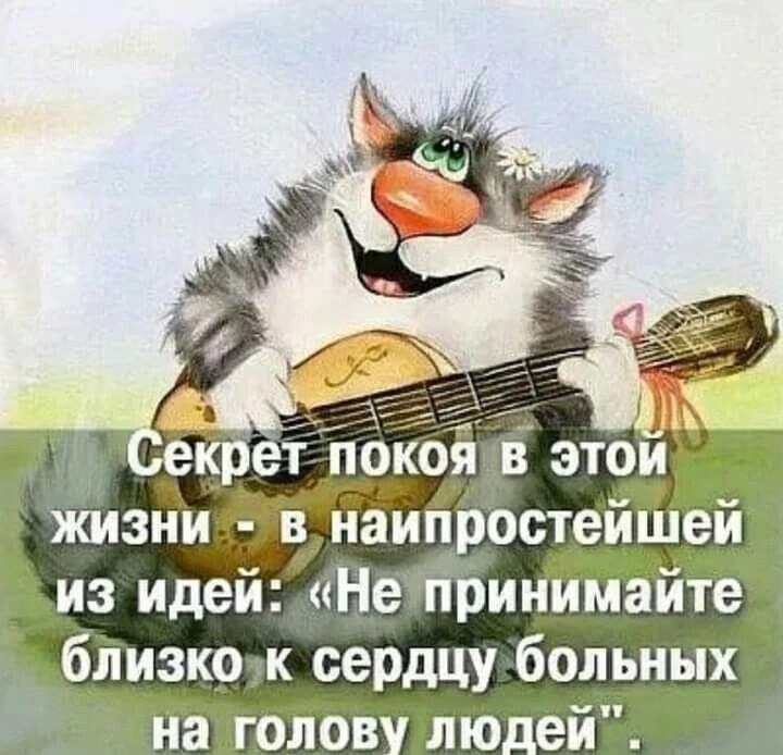   ! - 19  2022  07:48