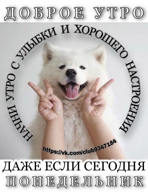 ***Victoria Viktorovna*** - 14  2022  07:53