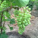 ���� �����, �����������, 47 ��� - ��������� 13 ���� 2022 � ������ ������ ��������