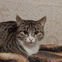 ���� ���������, �����, 51 ��� - ��������� 18 ������� 2023 � ������ ���� ����������