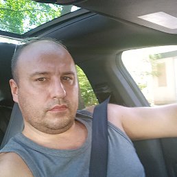 ���� ������, ʸ���, 46 ��� - ��������� 12 ��� 2022