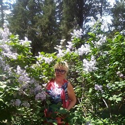 ��������, �����������, 71 ���