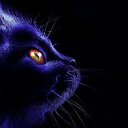 ��������, ��������