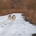 ���� �����, ������, 57 ��� - ��������� 31 ������� 2022 � ������ ���� ����������