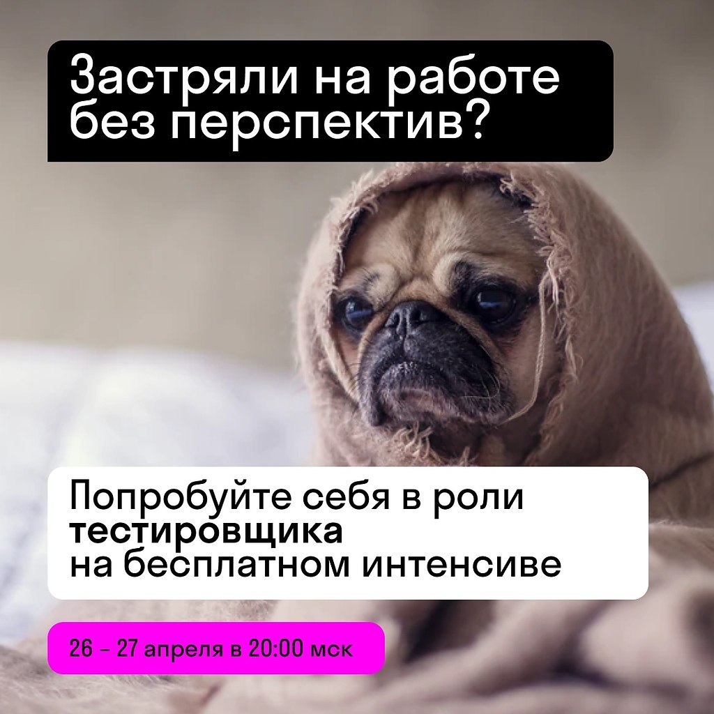  :    IT-  .  ,   ...