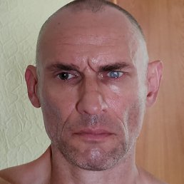 ����, ���������, 44 ����