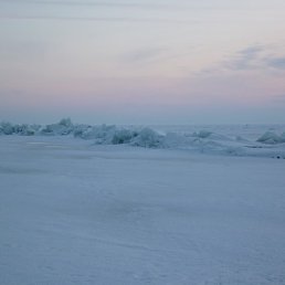 ������, ������� ����