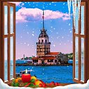 ���� ����, �����������, 51 ��� - ��������� 1 ������� 2023