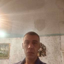 �����, ������, 40 ���