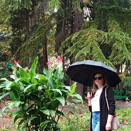 ���� �����, �����������, 52 ���� - ��������� 14 ������� 2022