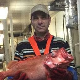 ���������, ��������, 68 ���