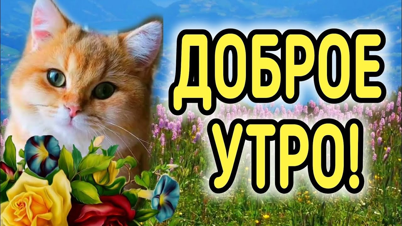  - 13  2022  04:04