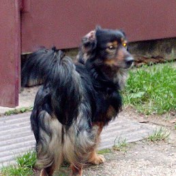 ���� ������, ������, 53 ���� - ��������� 28 ������� 2022