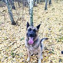 ���� ������, ������� - ��������� 19 ������ 2022 � ������ ���� ����������