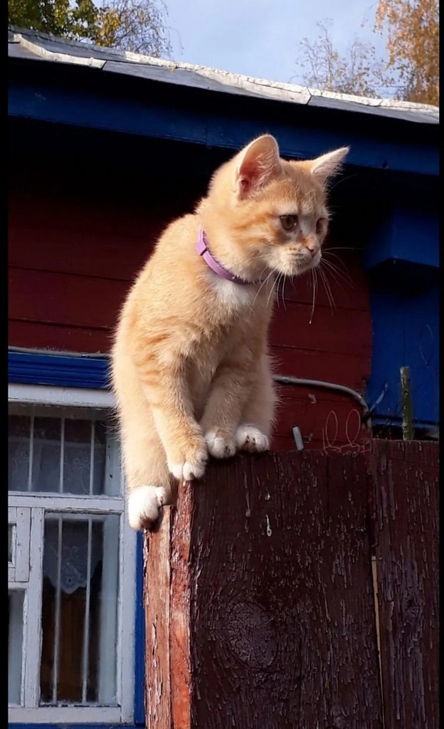  )))