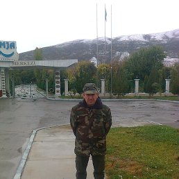 , 50, 