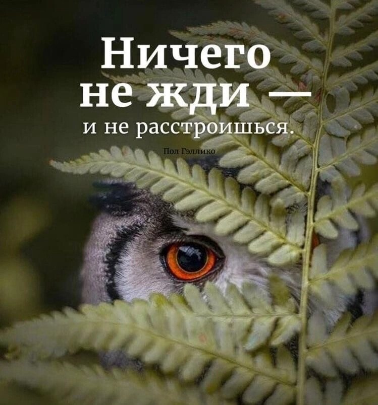 ***Victoria Viktorovna*** - 1  2022  09:38