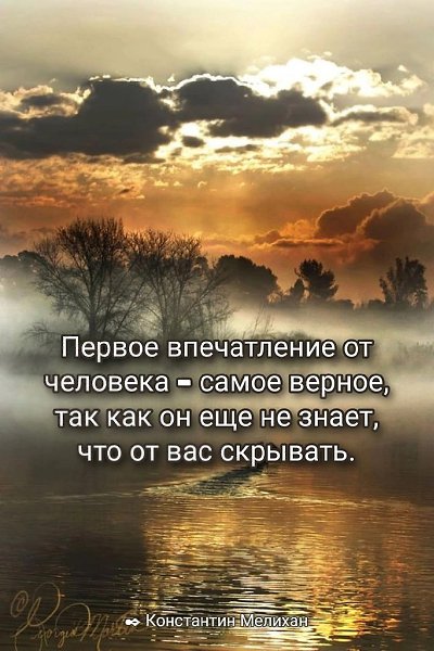   ,    . - 23  2022  20:08