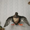 ���� ������, ������, 45 ��� - ��������� 4 ����� 2022 � ������ ���� ������