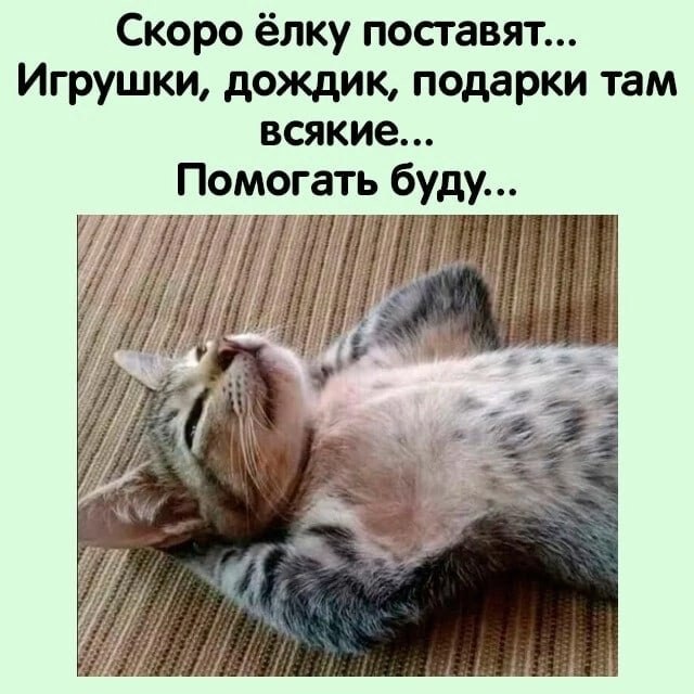 Раиса Гусева - 12 ноября 2022 в 19:11