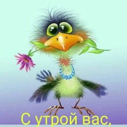 ������, �������, 26 ���