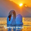  Galina...,  -  20  2022    