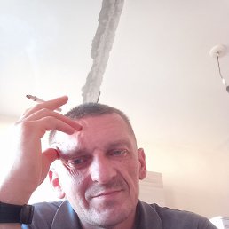 , , 46 