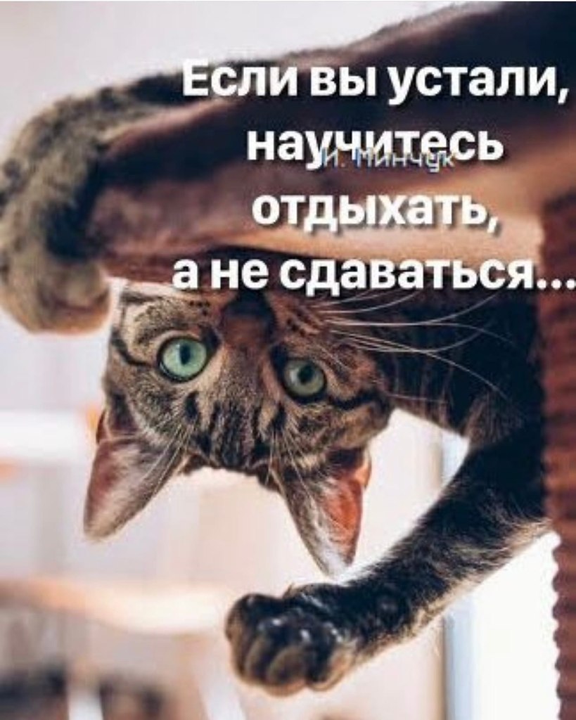   - 13  2022  13:20