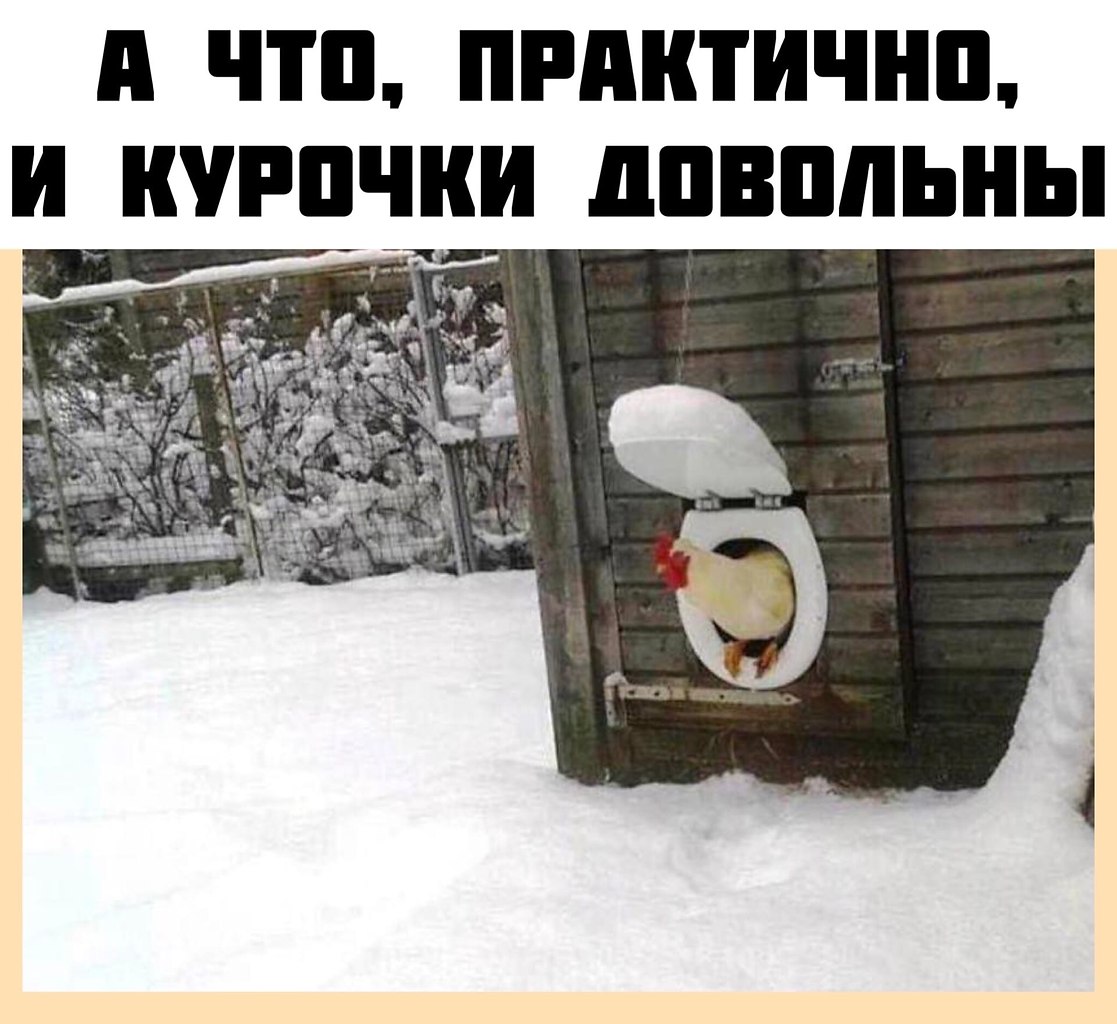    - 22  2022  10:33