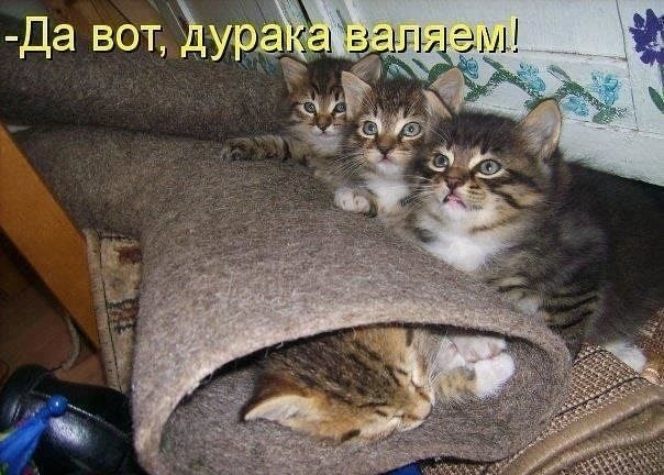    - 13  2022  03:39