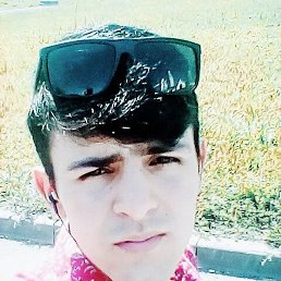 ����, �����-���������, 37 ���