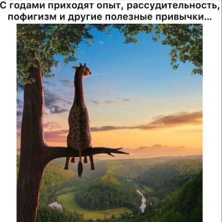 ***Victoria Viktorovna*** - 5  2022  12:13