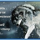 ���� ��������, ������, 39 ��� - ��������� 23 ���� 2022 � ������ ���� ����������